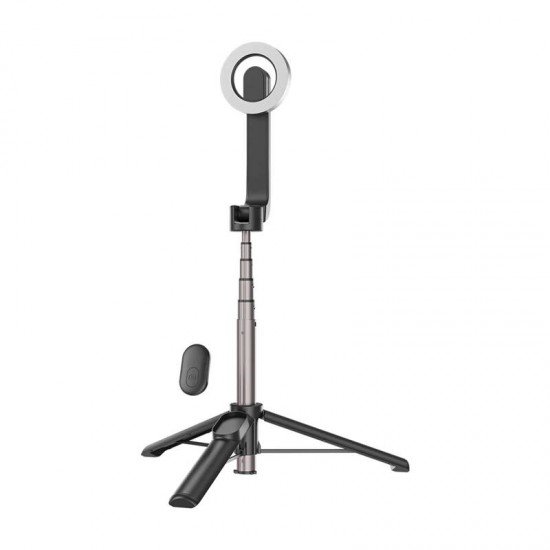 Telesin magnetic selfie stick