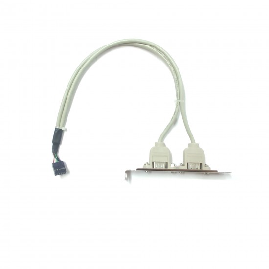 USB Port 2xAF to 2x5pin (5 pin+5 pin) 35cm